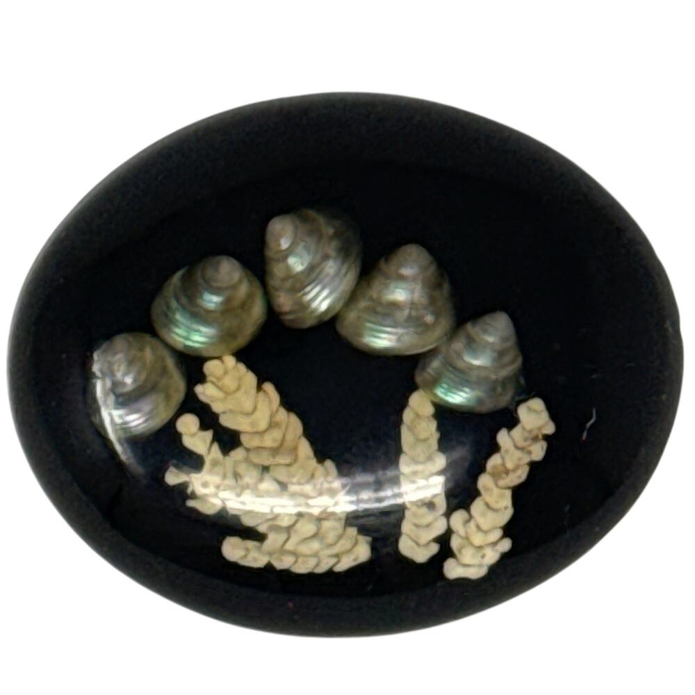 Vintage 60s Resin Shell Brooch Pin Black Oval Mother of Pearl Sea Motif